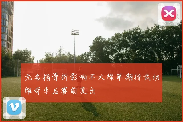 无名指骨折影响不大绿军期待武切维奇季后赛前复出
