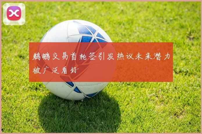 鹈鹕交易首轮签引发热议未来潜力被广泛看好