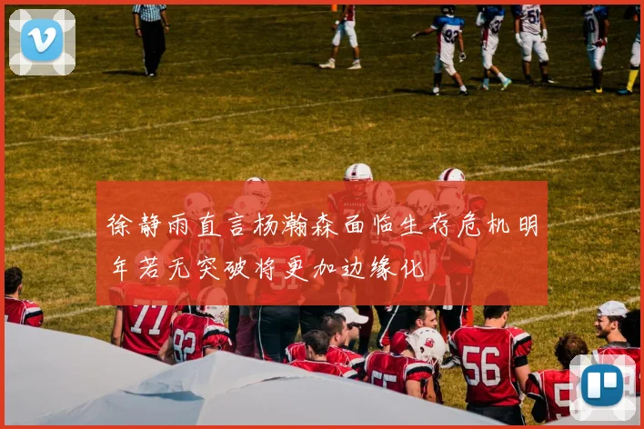 徐静雨直言杨瀚森面临生存危机明年若无突破将更加边缘化