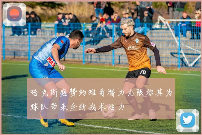 哈克斯盛赞约维奇潜力无限称其为球队带来全新战术活力