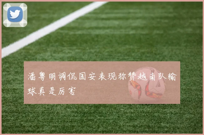 潘粤明调侃国安表现称赞越南队输球真是厉害