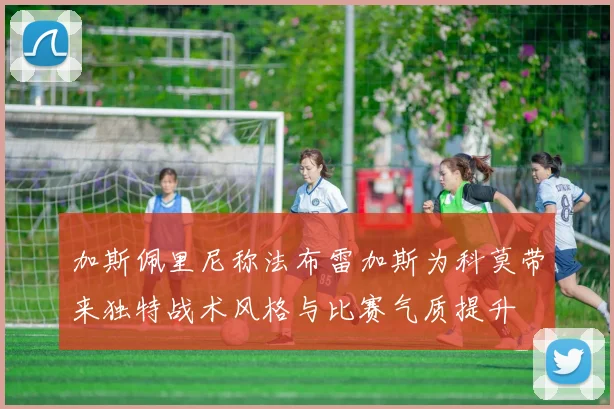 加斯佩里尼称法布雷加斯为科莫带来独特战术风格与比赛气质提升