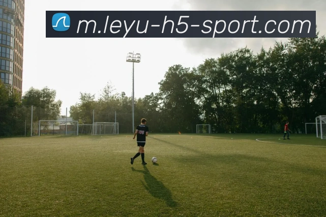 乐鱼体育APP 封面图